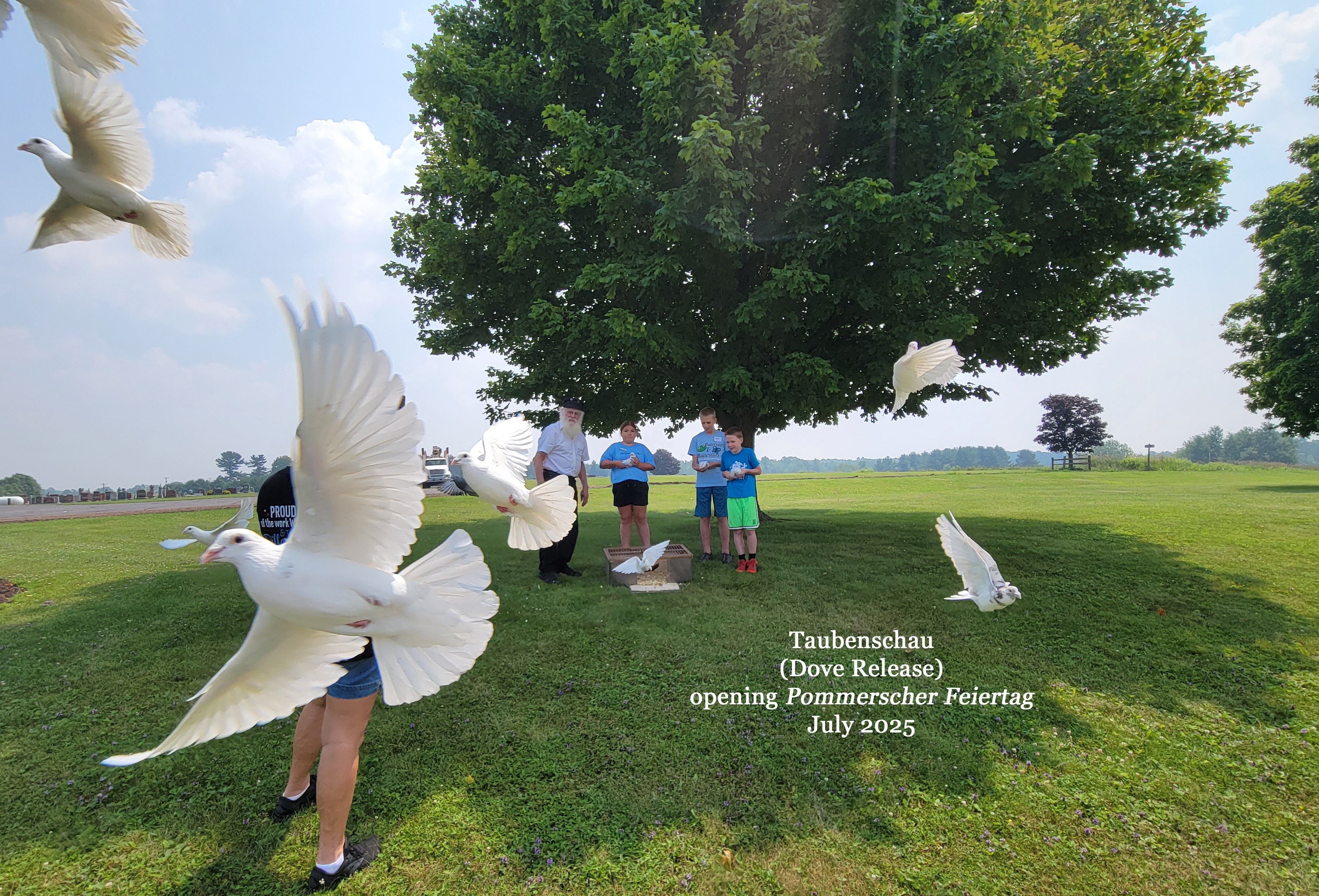 Taubenschau, Dove Release, April 2025